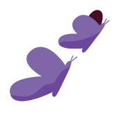 shape-img